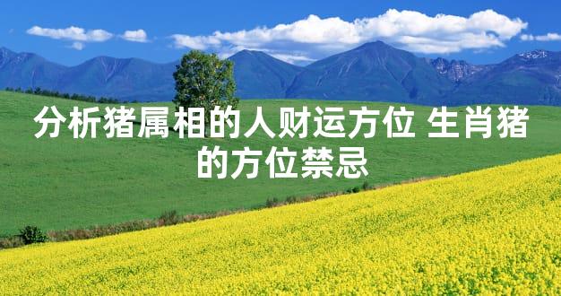 分析猪属相的人财运方位 生肖猪的方位禁忌